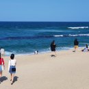 동해바다 이미지