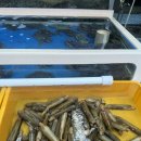 박사펜션 이미지