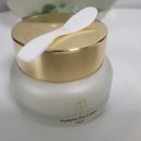 주식회사 모이스텐 | 주름앰플 모이스텐 히알플러스 프로 크림 10배 초고농축 재생 탄력 크림