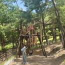 단성면사무소 | 단양 소선암 자연휴양림 숙박 후기 | 계곡 물놀이까지 가능한 여름 가족여행 추천