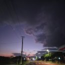 취다선리조트 | [제주동쪽] 웰니스여행 '취다선리조트' 방문후기 (요가/조식/숙소)