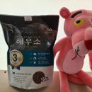 페테리안 이미지