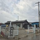 장덕리은행나무 | [강릉] 주문진 점집 후기 '청학사' (사주 잘 보는 곳 추천/위치/복비)