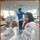 용인대 타이곤 태권도장 | 위례태권도 위례 지역 최고의 유아/초등 태권도장, 성남 용인대타이곤태권도