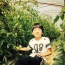 토마토주유소 이미지