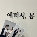 인계동 셀프사진관 예뻐서, 봄 수원 인계점 촬영 후기