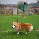 도기도기펜션 이미지