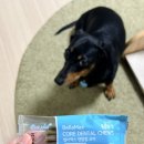 맥스농장 | 벨라맥스 강아지 구강 유산균 SBS 동물농장 덴탈껌 후기