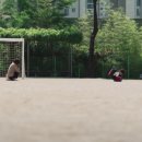 하루스냅