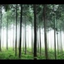 금발의제니