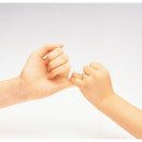 미디어코어시스템즈 이미지