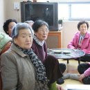 백산아파트경로당 Daum카페