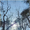 영어 회화중급 이미지