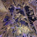 솔탭하우스서면삼정타워점 | 부산 서면 피자 맛집 Q라운지 [솔탭하우스] 다녀온 후기! - 서면 피자맛집,서면 삼정타워 맛집,서면 큐...