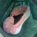 H-014 | [아기 목베개 추천] 트라이크 목베개, 잠자는 소잉율 유아목쿠션 내돈내산 후기