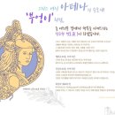 따라부어 티스토리