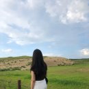 사구해수욕장1 이미지