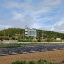 발산1리 경로당 이미지