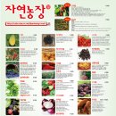 왕징농장 이미지