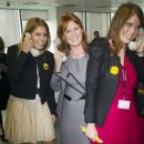 베아트리스 C 이미지