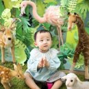 스튜디오키쉬