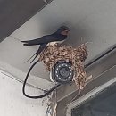 대흥부동산공인중개사사무소 이미지