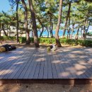 청실약국 이미지