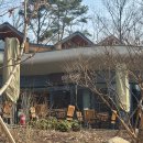 네잎클로버 | 서울 숲캉스 수락휴 7호 네잎클로버 숙박 후기 (feat.예약 꿀팁)