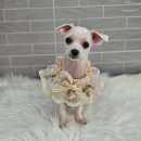 까끌레멍 이미지