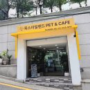 카페아일랜드 - 송파구 올림픽로35길 93 | 독스아일랜드 논현 애견카페 후기｜더운 여름 강아지와 가기 좋은 실내 피서지