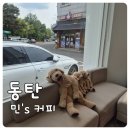 민스커피 - 진주시 진주대로 1160 | 동탄 센트럴파크 근처 조용한 카페, 민스커피 다녀온 후기