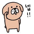 논현모터스 이미지