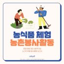 포항노다지마을 이미지