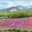 힐링타운 이미지