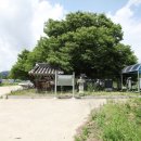 정선전씨 효부문 네이버블로그
