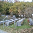 선진 양봉장 이미지