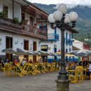 하르딘(Jardin) 이미지