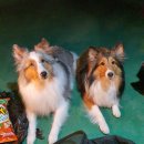 옥상파티 이미지