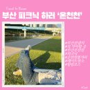 수영강 관리사무소 | 부산 온천천시민공원 p들의 피크닉 즐기는 방법