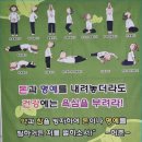 근육강화운동원