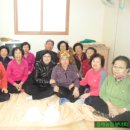 약성1리경로당 Daum카페