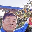 봉동2농장 이미지