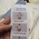 엘라보네르