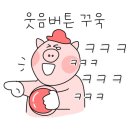 사계진미포항
