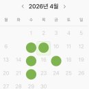 풀무원 디자인밀 버라이어티 체험팩 5일 내돈내산 솔직 후기