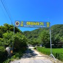 용소폭포 해바라기 이미지