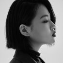 비비시스템 이미지