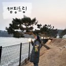 용신리 시장내 | 캠핑드림 오토 캠핑장 | 바다도 보이고 시설도 좋은 곳 추천