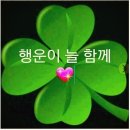 흔들리며 피는 꽃 이미지