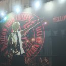 바닐라음악학원 | Yellow Fried Chicken 2026 각트 내한 콘서트 후기